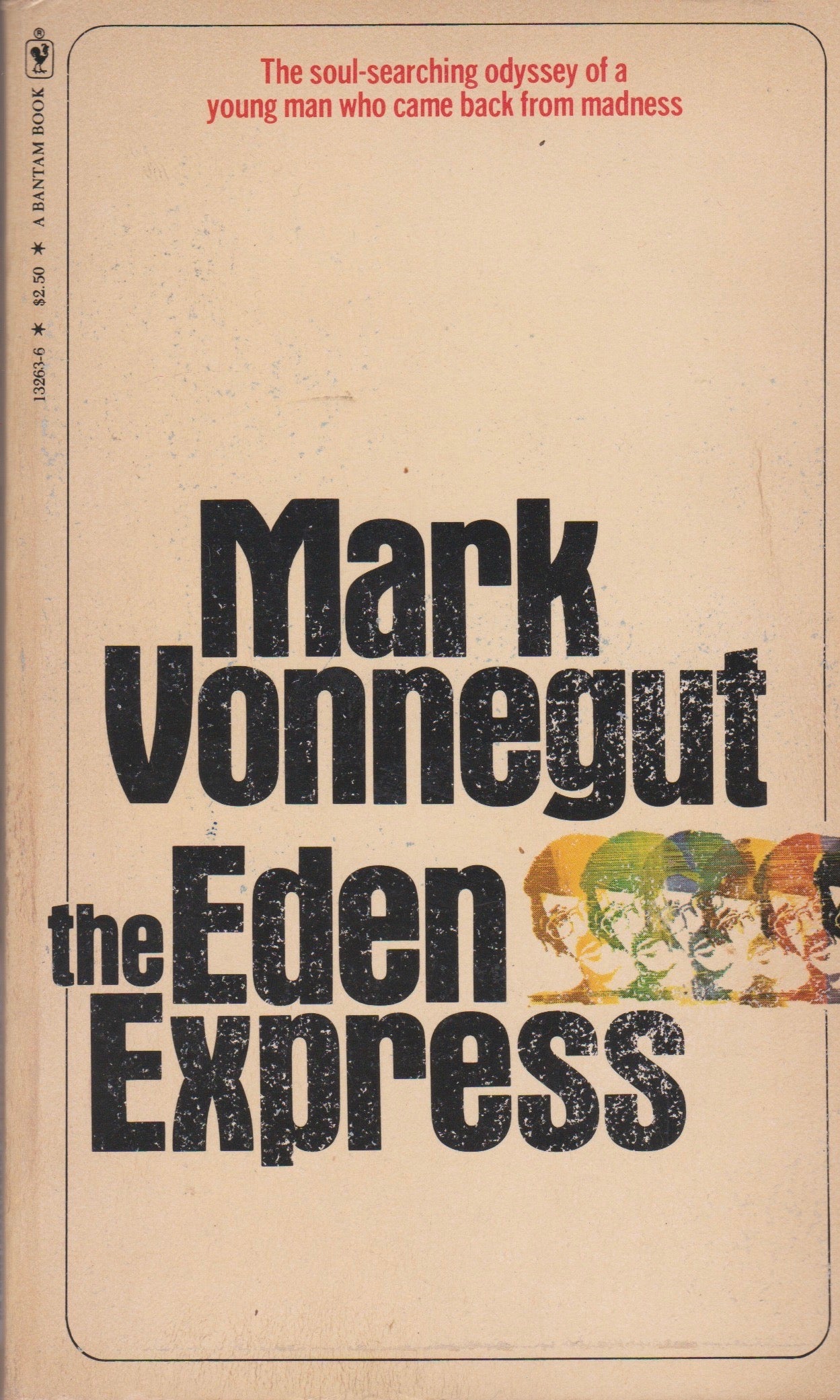 The Eden Express - Mark Vonnegut (book)