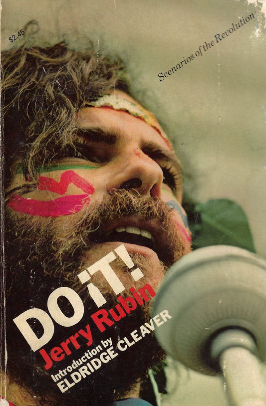 Jerry Rubin - Do It! (book)