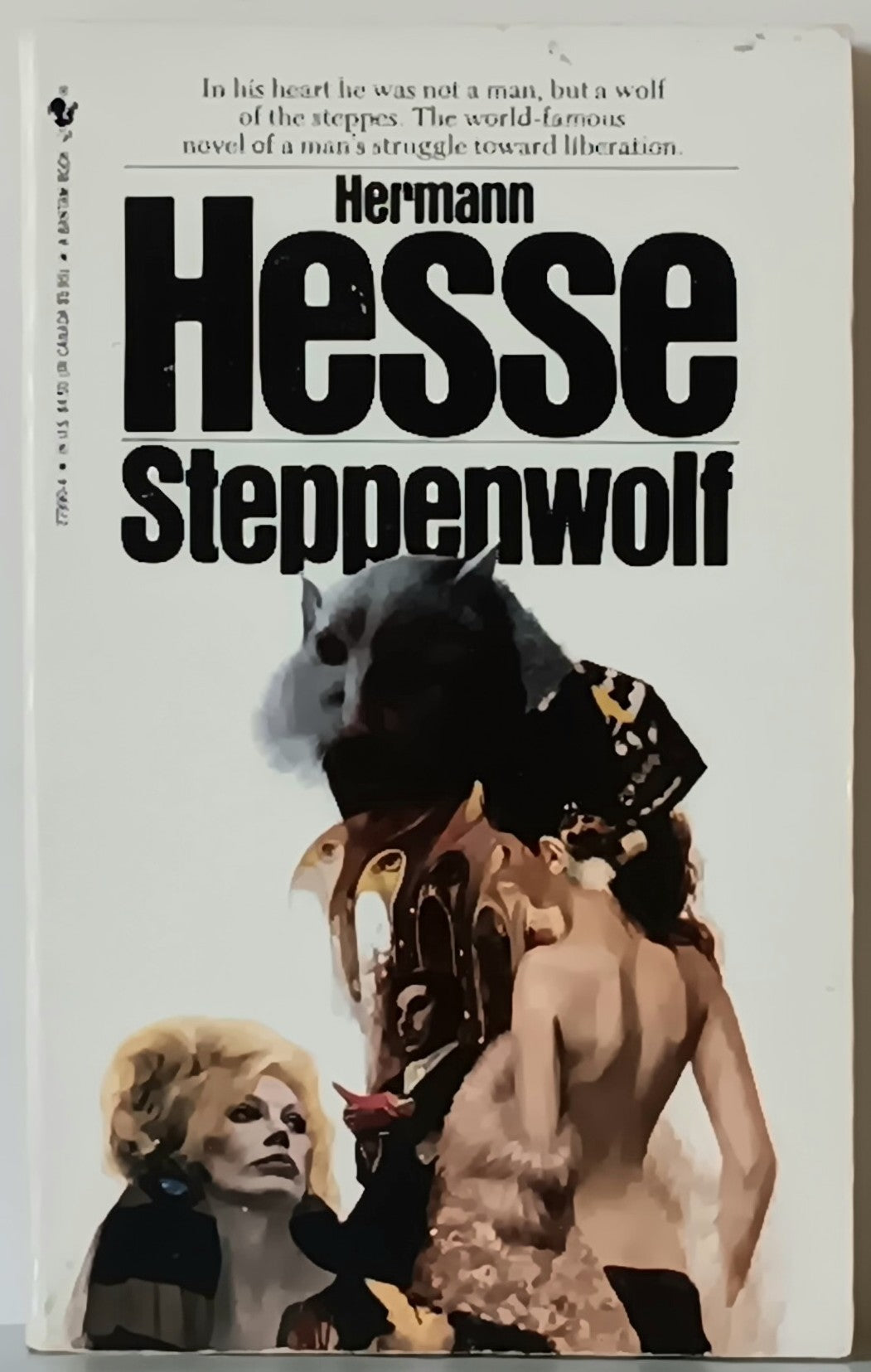 Hermann Hesse: Steppenwolf (paperback)